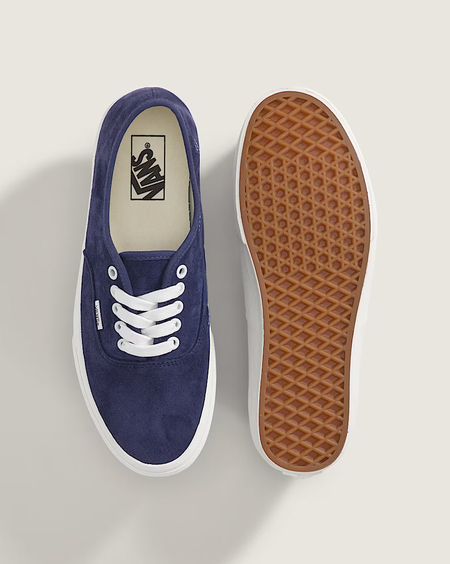 Vans Skate Authentic Shoe