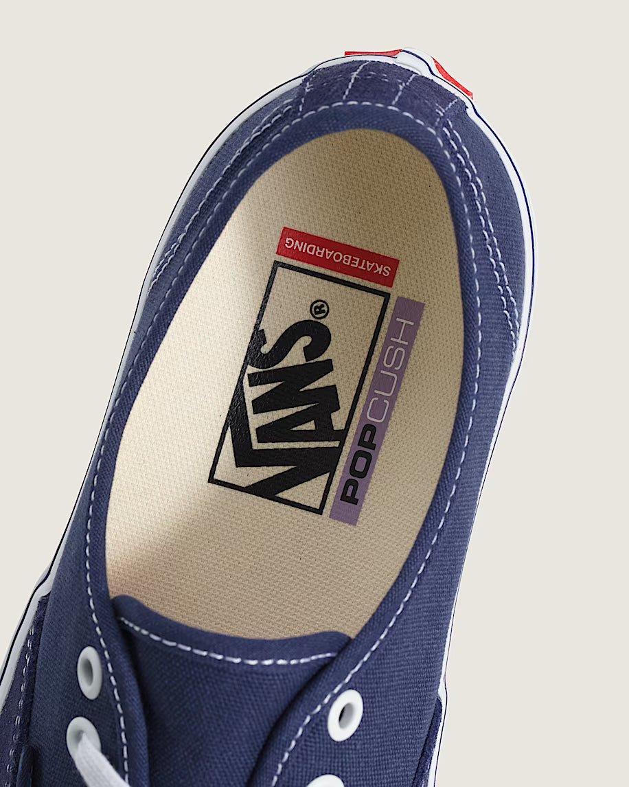 Vans Skate Authentic Shoe